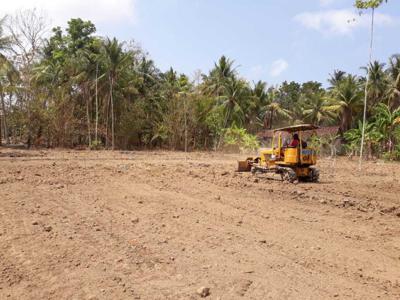 Tanah di Nanggulan Kulon Progo Dekat Kopi Ampirono