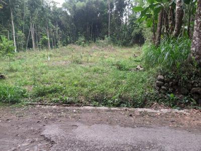Tanah Dijual Klaten Dekat Pom Manisrenggo