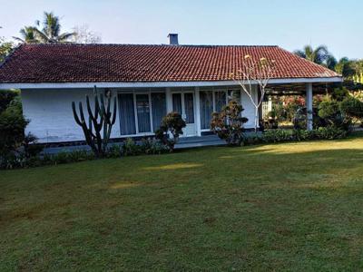Dijual Rumah Full Furnished Halaman Luas di Megamendung Bogor
