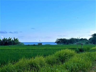 Freehold Land In Tabanan Close To Yeh Gangga Beach
