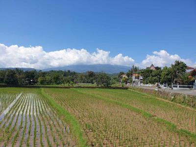 Pekarangan Karangpandan view Gunung Lawu