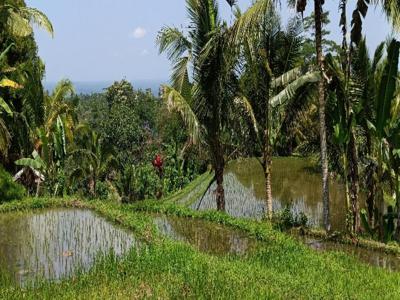 tanah sawah view gunung lembah indah di tabanan bali