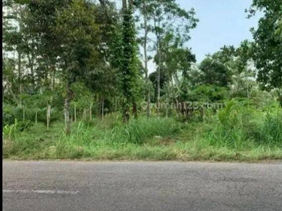 Dijual Tanah Zona Industri Luas 5 Hektar Lokasi Boyolali