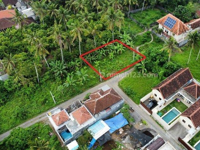 Tanah di Silungan lodtunduh , Ubud - Lingkungan Villa