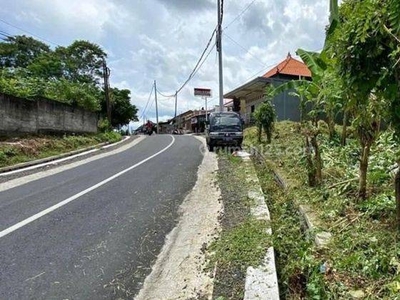 Tanah murah pangkung tibah tabanan