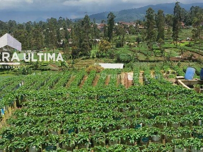 Dijual Tanah Murah di Ciwidey, Bandung jarang ada