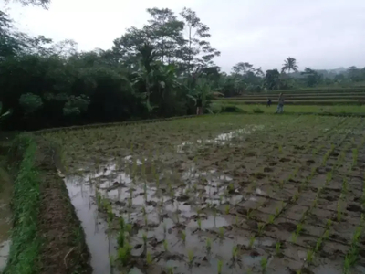 JUAL LAHAN 5,2 HA HANYA 20 MENIT KE EXIT TOL CIGOMBANG SUKABUMI JABAR