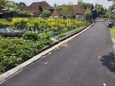 SHM PEKARANGAN SEBELAH LAMPU MERAH NGABLAK TURI JL TURI TEMPEL