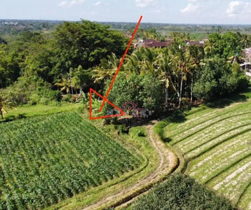 Tanah Dekat Pantai Klecung Tabanan