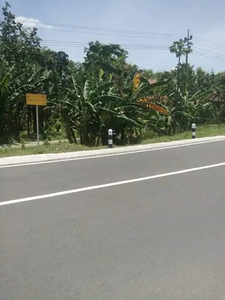 Tanah Di Plot Industri Nol Provinsi Di Ploso, Jombang