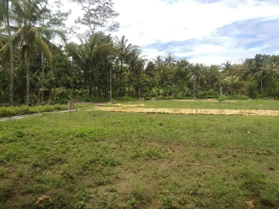 Tanah Dijual Jogja Selatan Polres Kulon Progo Legalitas SHM