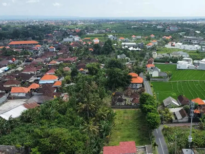 Tanah disewa 5 are di Tumbak Bayuh Canggu Pinggir Jalan