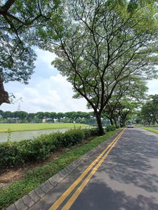 Tanah Kavling Citraland Raya Boulevard Bukit Telaga Golf Depan Danau