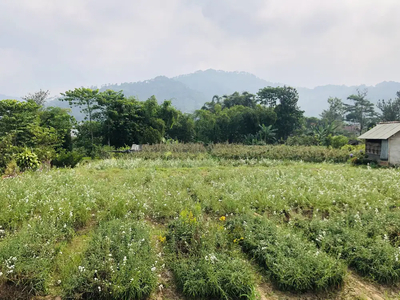 Tanah Kota Batu, Cocok Untuk Vila Mewah, Siap Bangun LT05