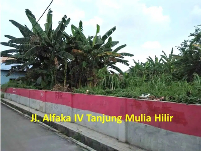 Tanah Murah di Tanjung Mulia Hilir (Dijual CEPAT)