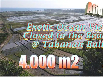 Tanah Sawah 40 Are di Kerambitan Dengan View Laut