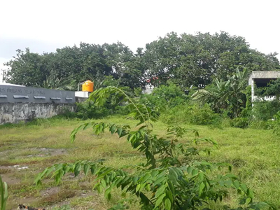 tanah sewa dkt berbek industri MURAH