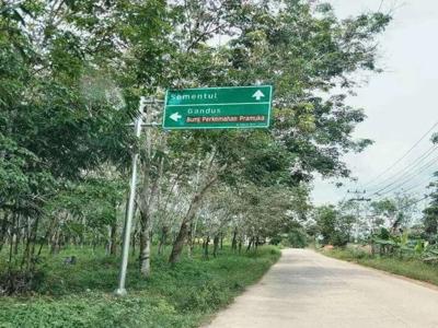 Tanah 40 Hektar Prabumulih Murah SHM untuk Kebun sawit karet sawah