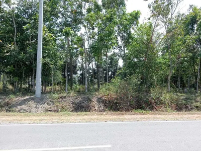 Dijual tanah kosong jln raya lintas Selatan Klirong Kebumen