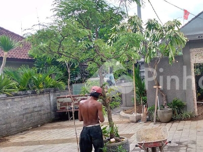 Disewakan Rumah 2KT 20m² di Jlan Semer.krobokan Bali Rp200 Juta/bulan | Pinhome