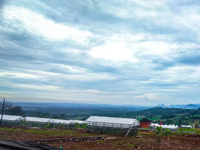 Jual kavling kebun anggur di Bogor permeter 800 ribuan
