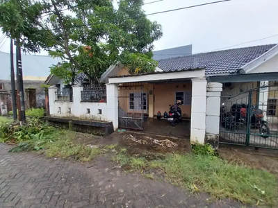 Jual Nego Rumah dekat Kampus di NTI (Nusa Tamalanrea Indah)