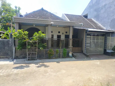 Rumah disewakan