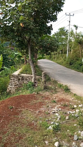 Tanah Cocok Untuk Villa Samping Irigasi View Ubud