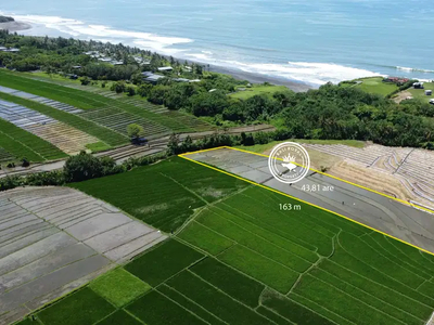 TANAH DIJUAL 150 METER DARI PANTAI VIEW SAWAH GUNUNG DAN PANTAI