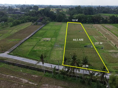 TANAH DIJUAL VIEW PANTAI SANGAT MURAH