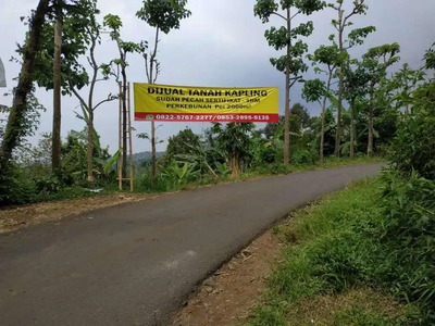 Tanah Kapling Perkebunan Durian di Jombang, Jawa Timur