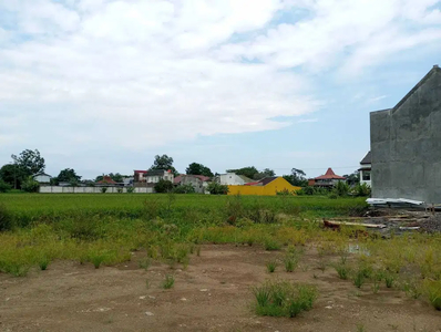 300 METER JL JOGJA SOLO Tanah Area Purwomartani Kalasan, View Sawah