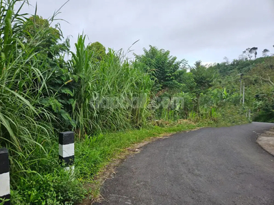 5,000sqm land offers unspoiled natural beauty for sale in Singaraja,Ba