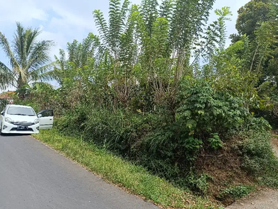 Dijual Tanah di Wanagiri Buleleng