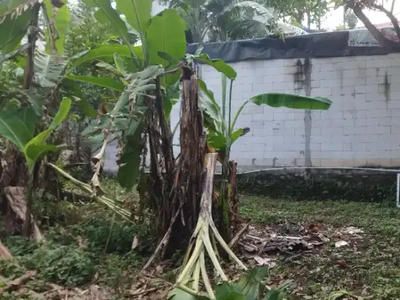 Kos kosan murah daerah Ciracas Jakarta Timur Jaktim