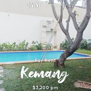 Modern Tropical House for Rent at Kemang