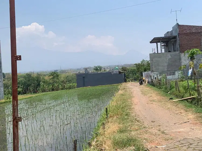 Tanah Belakang Taman Singha Merjosari Kota Malang