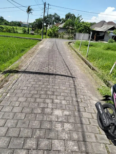 TANAH BUDUK DEKAT CANGGU AREA VILLA VIEW SAWAHH