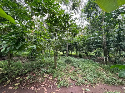 Tanah di belakang Taman Kota Salatiga