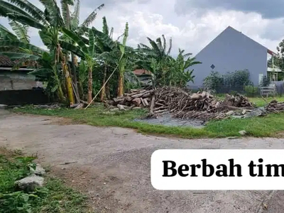 Tanah Pekarangan View Sawah di Berbah Sleman Yogyakarta TP 193