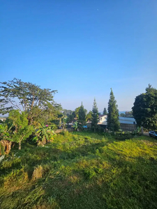 Tanah SHM di Pinggir Jalan 800 m2 di Puncak Bogor