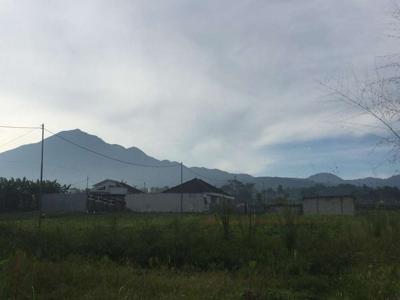 Kavling Vila Murah Di Bogor Siap Bangun Suasana Pedesaan Sejuk View Gu