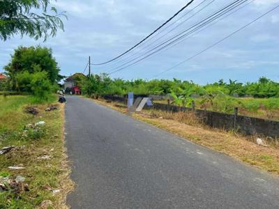 Tanah View Sawah Raya Pantai Kelating Kerambitan Tabanan