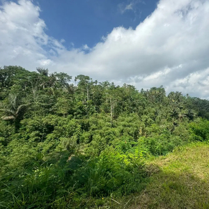 Dijual Lahan View Lembah dan Hills di Ubud akses jalan 6 meter