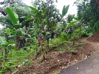 Jual Murah Tanah Akses Mobil Di Dataran Tinggi Wanayasa Purwakarta