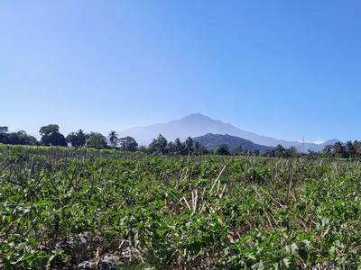 Tanah SHM subur dan produktif di bogor