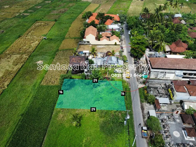 Land for lease in main road Kedungu Beach Tabanan - ricefield view