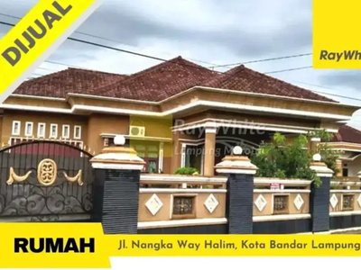 Rumah 588 m² way halim bandar lampung