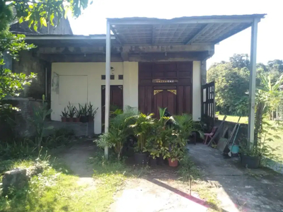 Rumah Mewah(Mepet Sawah)