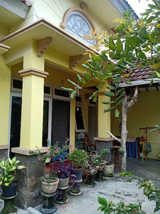 Rumah Minimalis Siap Huni tengah Kota Sidoarjo